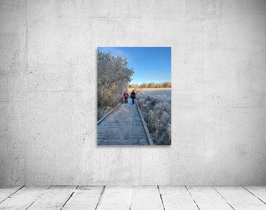 Frosty Nature Path Through the Scottish Highlands Wall Preview