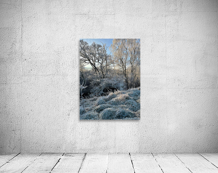 Winters Frosty Nature in the Scottish Highlands  Wall Preview