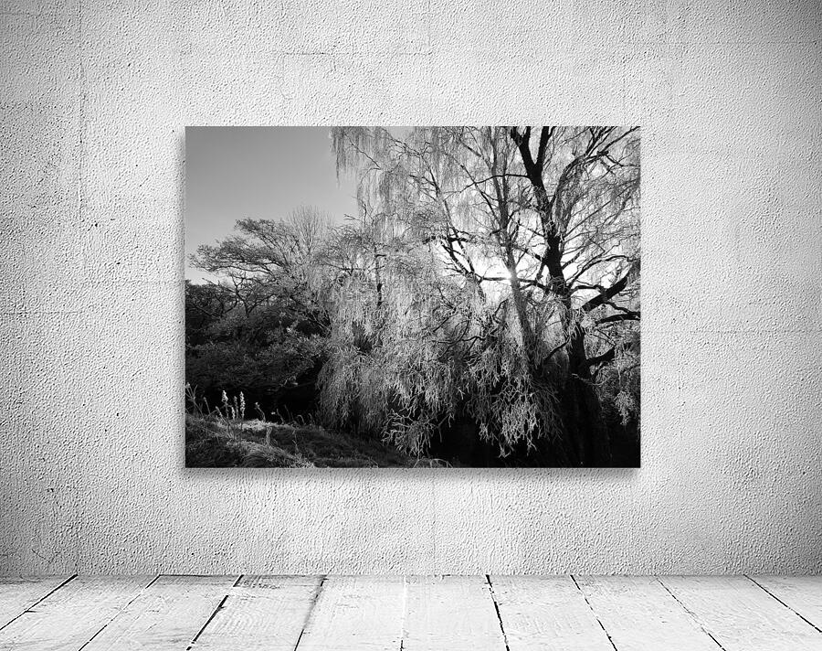  Black and White Winter Beauty in the Scottish Highlands Wall Preview