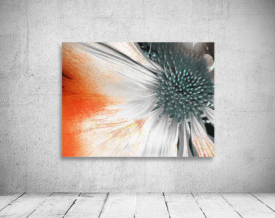 Abstract Cone Flower Wall Preview