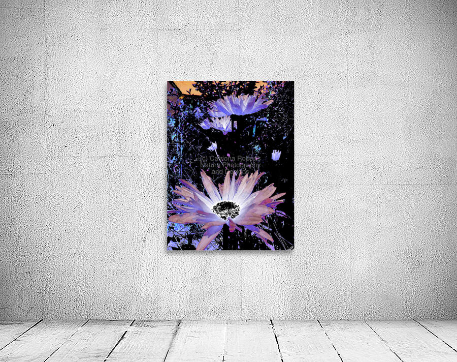 Cool Rocking Surreal Daises  Wall Preview