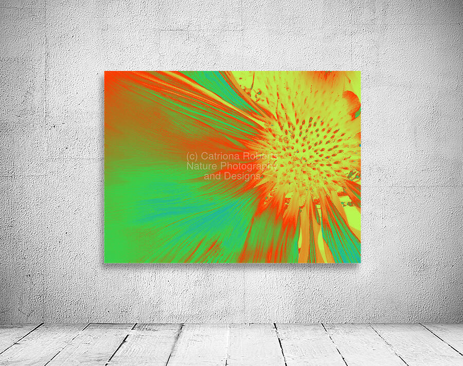 Abstract Cone Flower Wall Preview