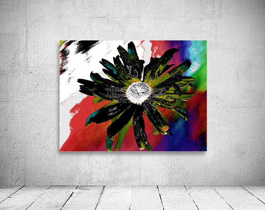 Abstract Black Daisy Wall Preview