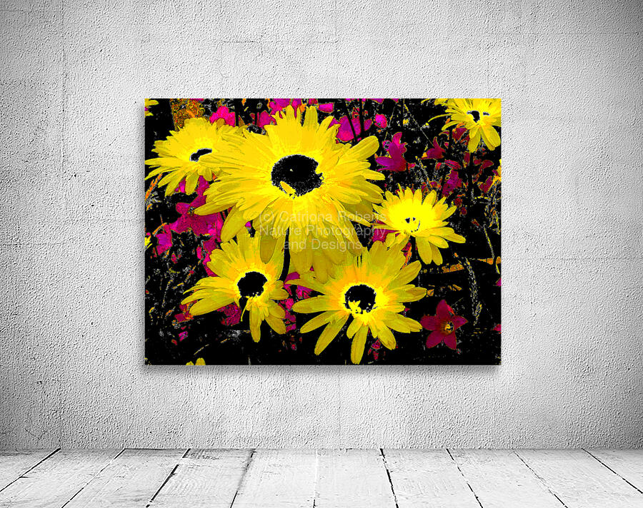 Abstract Contrasting Vibrant Daises  Wall Preview