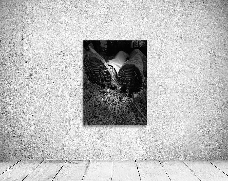 Scenes from the Trail- Resting Too Wall Preview