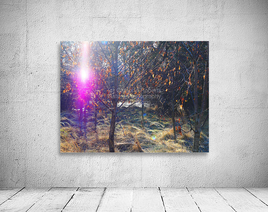 Scottish Highlands Visitation                                                                                                           Wall Preview