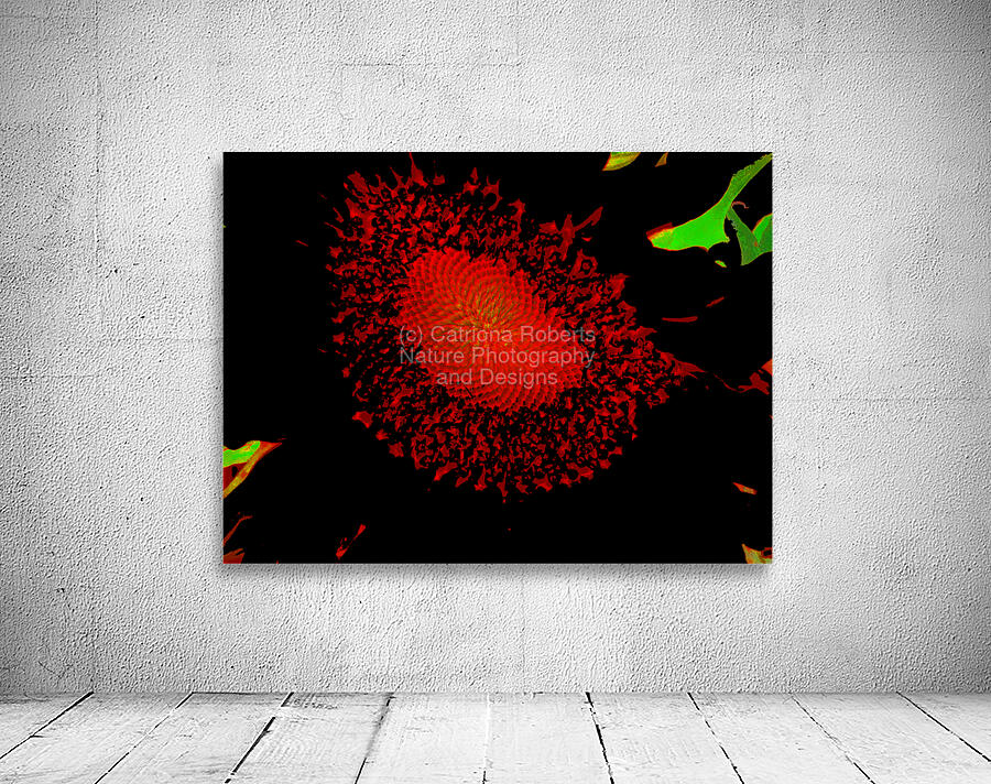 Abstract Red Sunflower Wall Preview