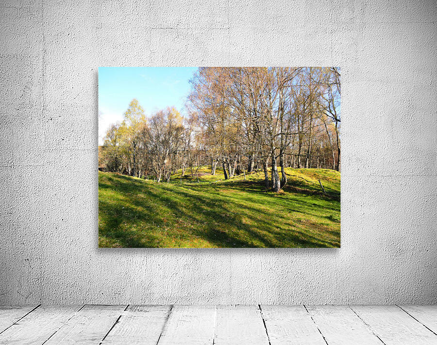 Spring Serenity in the Scottish Highlands                                                                                                                      Wall Preview