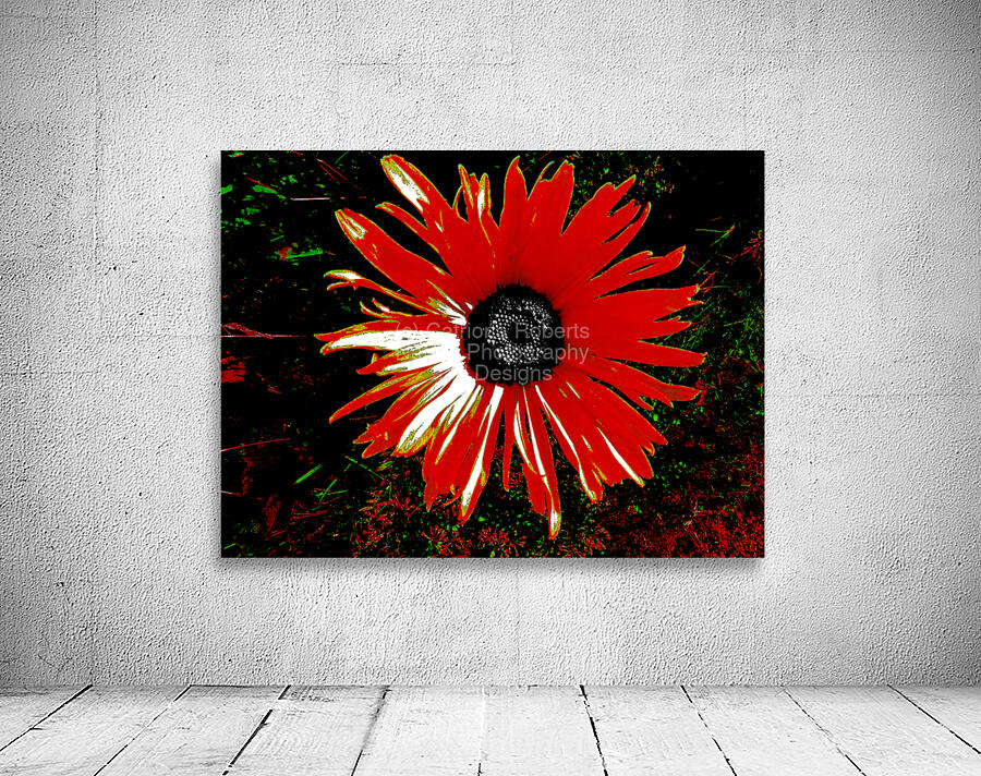 Abstract Red Daisy Wall Preview