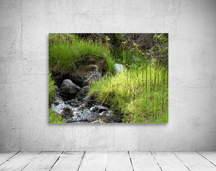 Scottish Highlands Summer Nature Walk Wall Preview