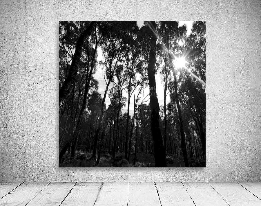 Impressionistic Dark Forest Wall Preview