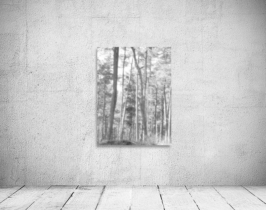Monochrome Summer Pine Forest Wall Preview