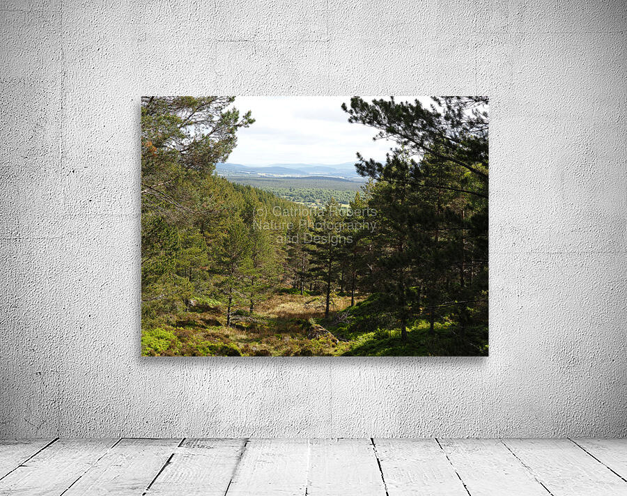  Scottish Highlands Landscape View                                                                                                                     Wall Preview