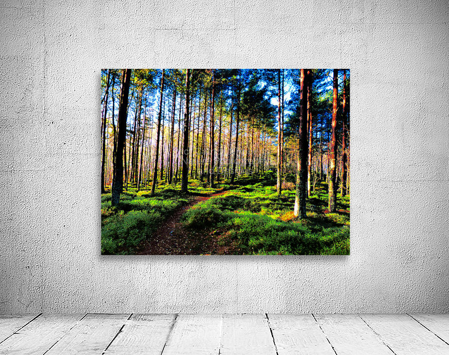 Sunlight Through the Pine Trees  Wall Preview