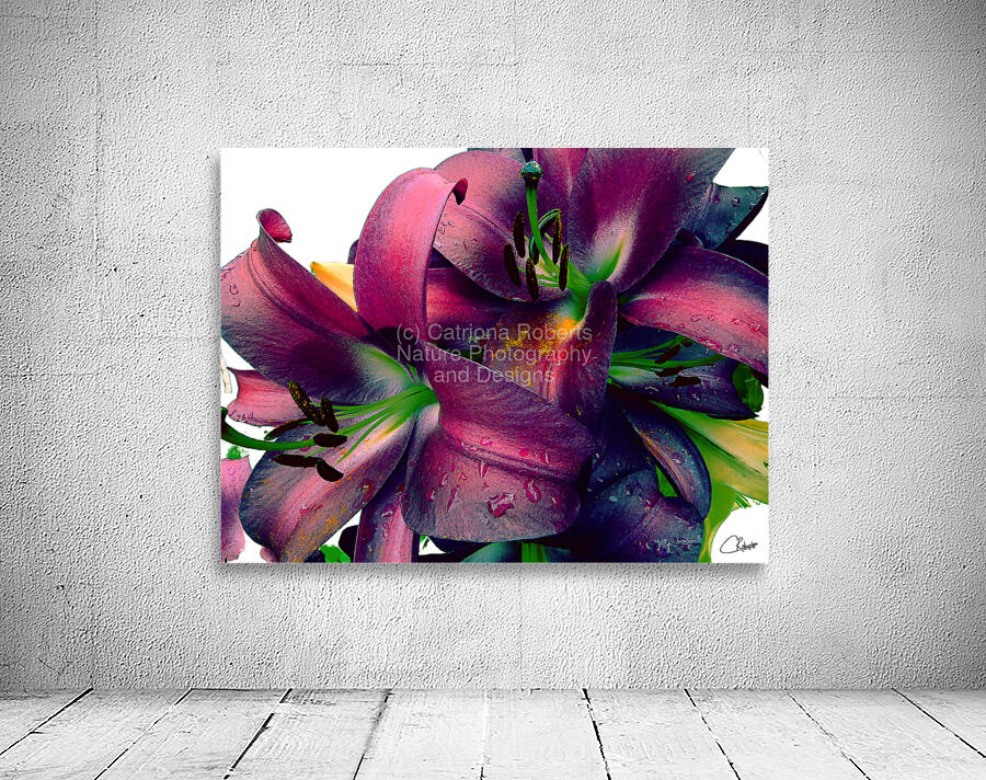 Rich Summer Lily Flowers Wall Preview