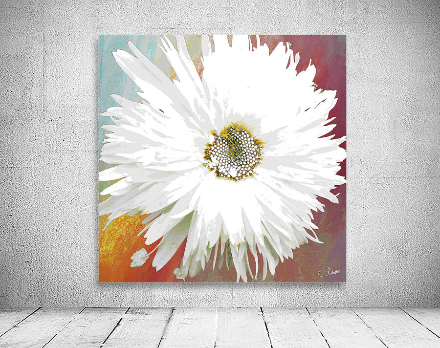 Abstract Daisy Close Up Wall Preview