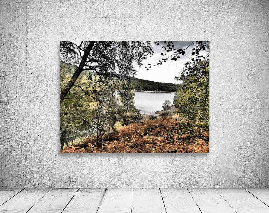 Loch Vaa Autumnal View                                                                                                                      Wall Preview
