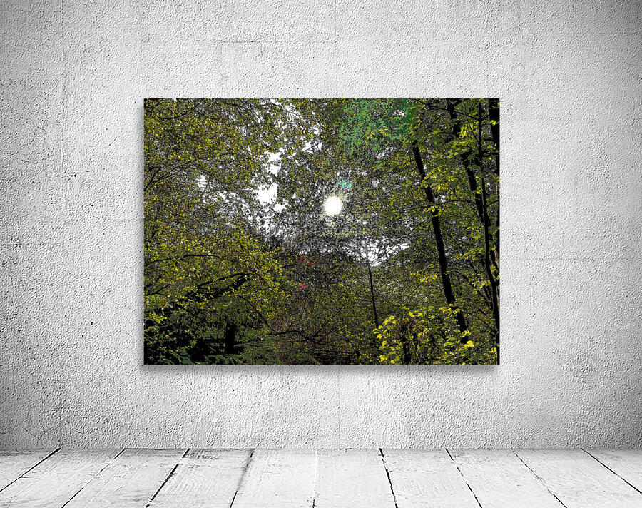  Sunlight through the Forest Canopy                                                                                                                     Wall Preview