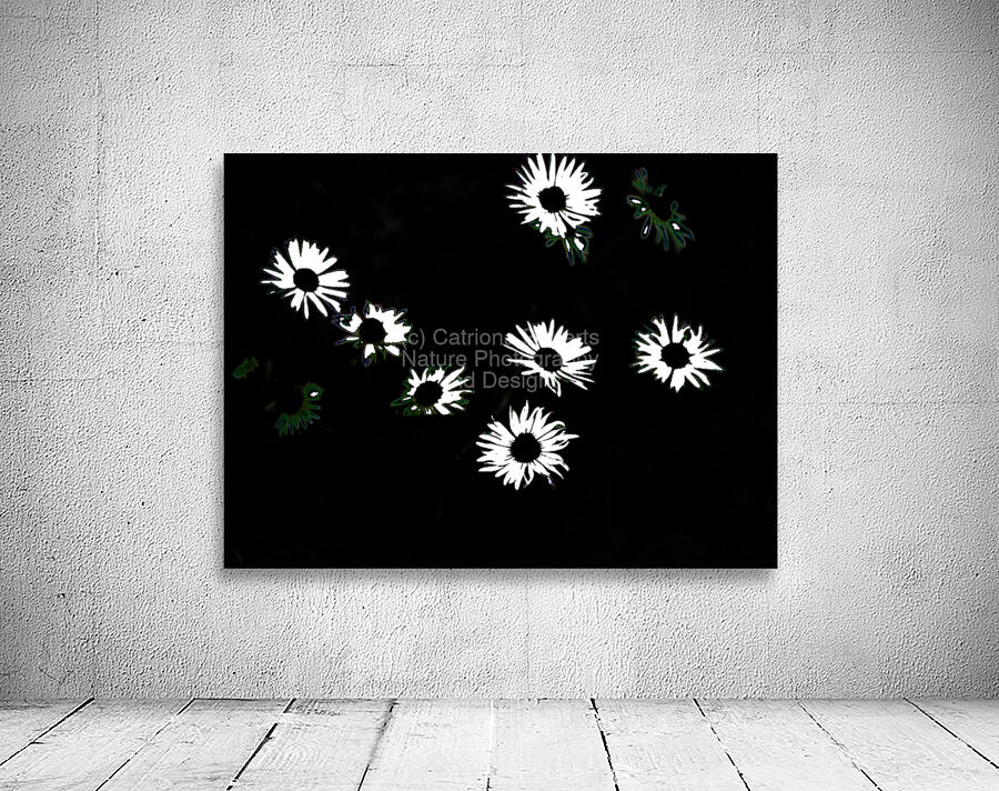  Monochrome Night Blooms                                                                                                                     Wall Preview