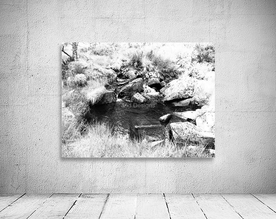  Scottish Highlands Monochrome Peaceful Stream                                                                                                                     Wall Preview