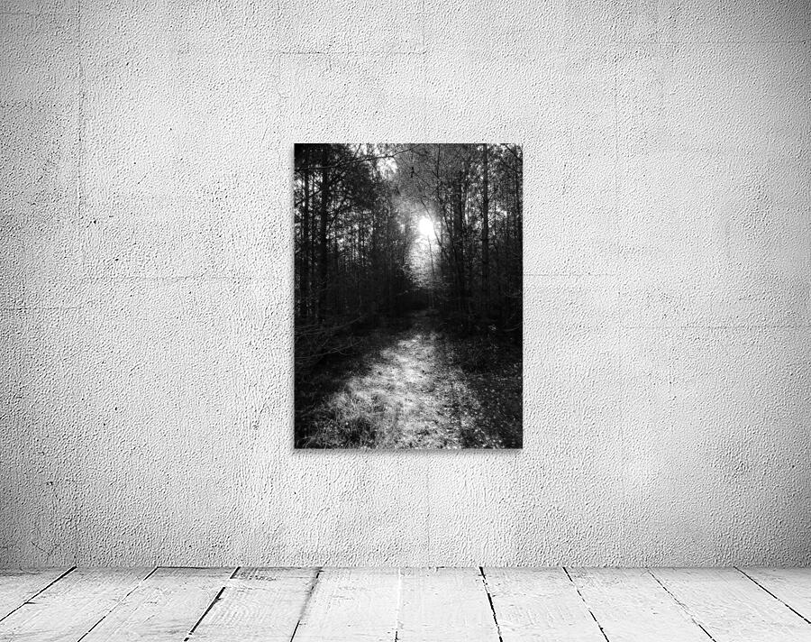  Autumns Suns Dark Kiss for the Scottish Highlands Wall Preview