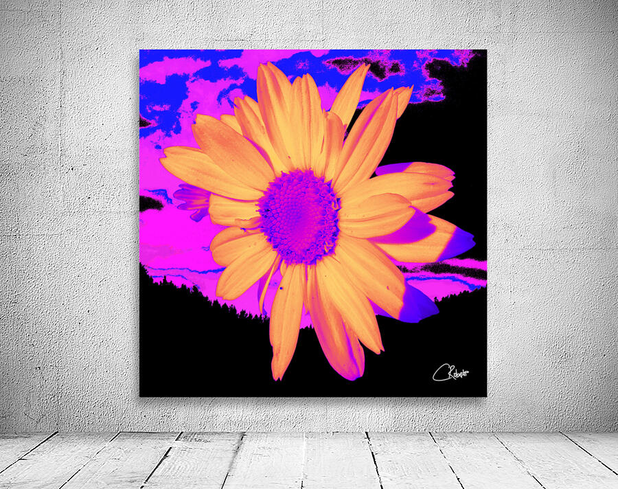 Daisy Dreaming Wall Preview