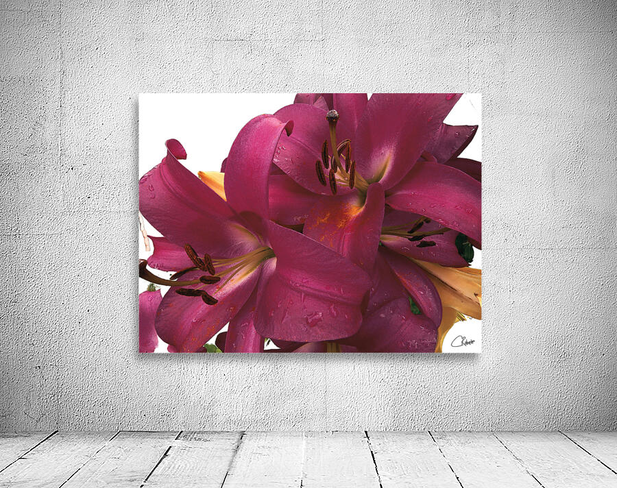 Ruby Lily Flowers Wall Preview