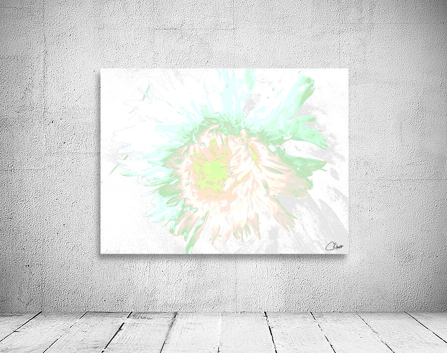 Delicate Heatwave Chrysanthemum Wall Preview