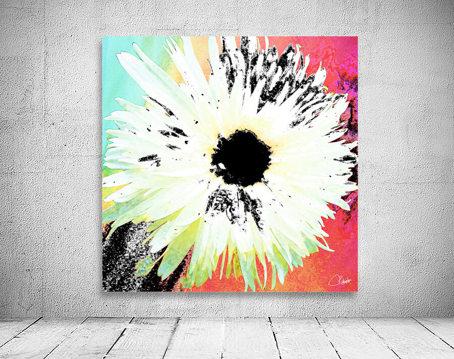 White Daisy Dark Centred on an Abstract Background Wall Preview