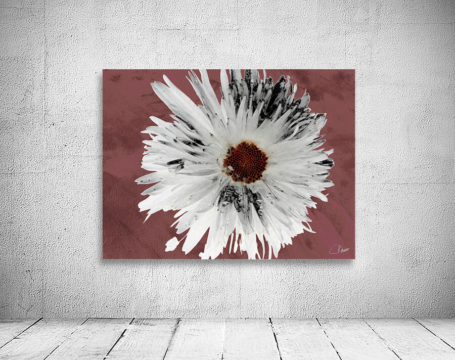 Light Distressed Daisy Flower with Dark Centre on an Abstract Background Wall Preview