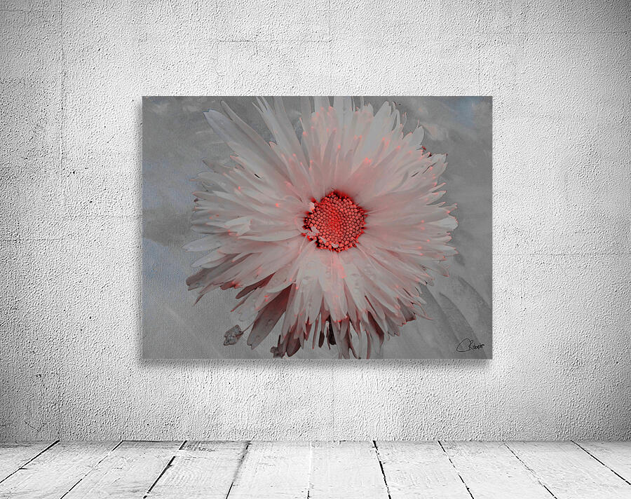 Pink Abstract Daisy Flower Centre on a Grey Abstract Background Wall Preview