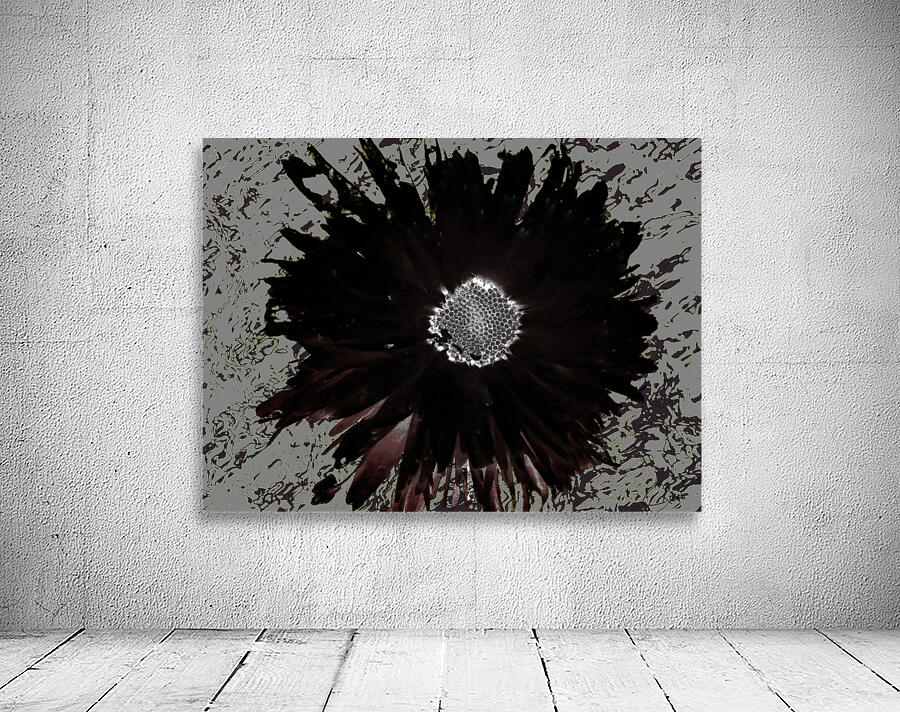 Dark Daisy with White Centre on a Grey Abstract Background Wall Preview