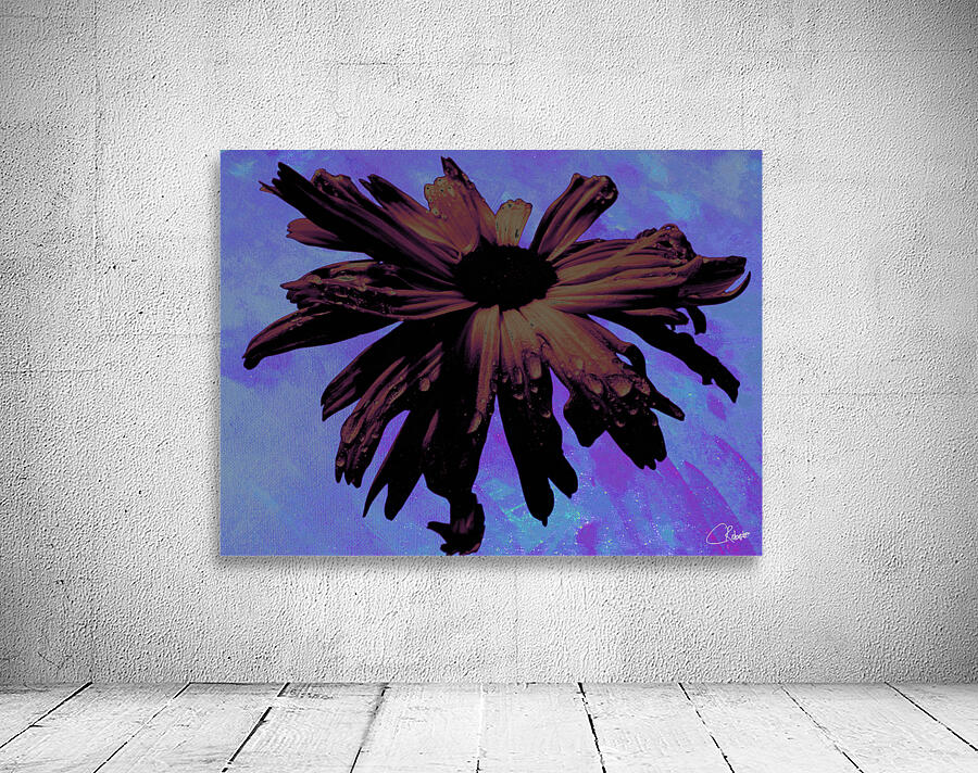 Abstract Dark Pink Daisy Flower on a Bluey Pink Abstract Background Wall Preview