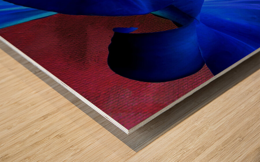  Abstract Colour Popping Lilies Wood print