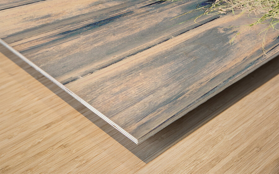 Serene Summer Daises  Wood print