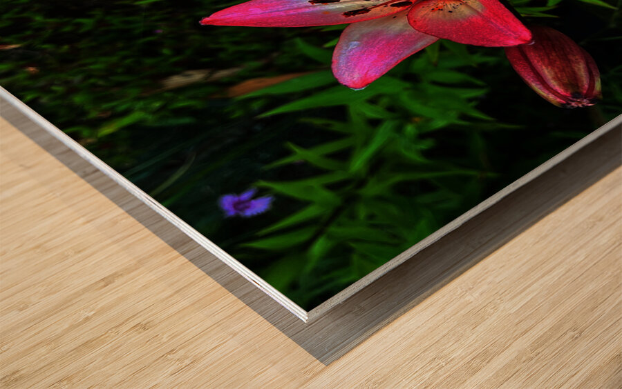 Vibrant Lilies  Wood print