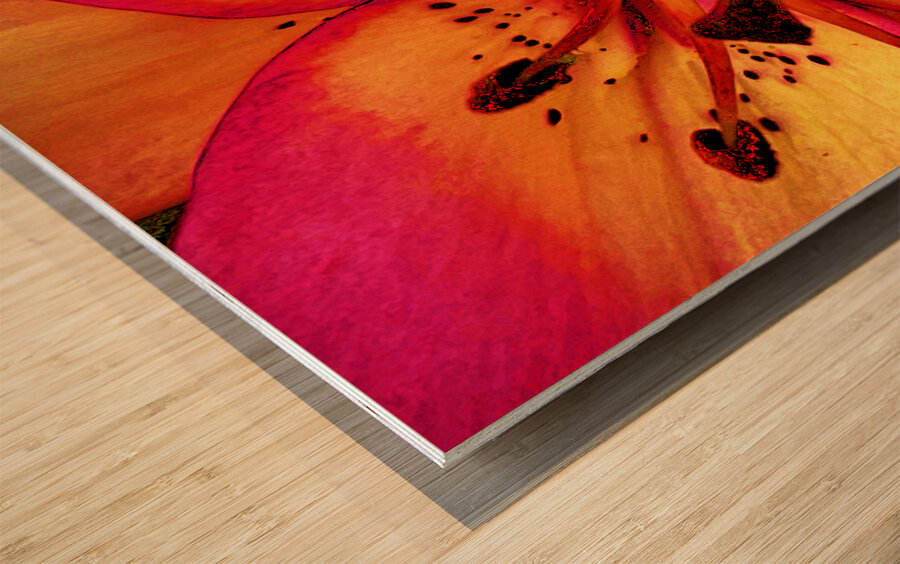 Abstract Close Up Lily Flower Wood print