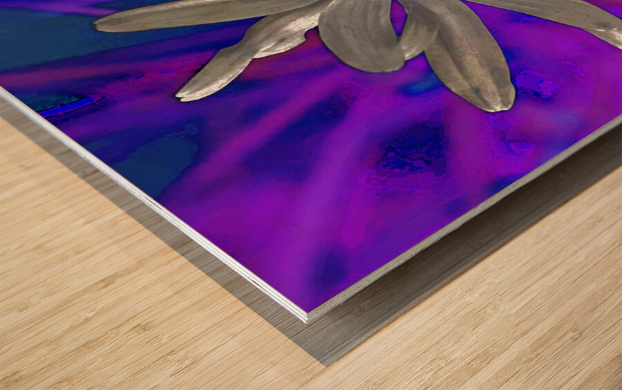  Abstract Colourful Daisy Flower  Wood print