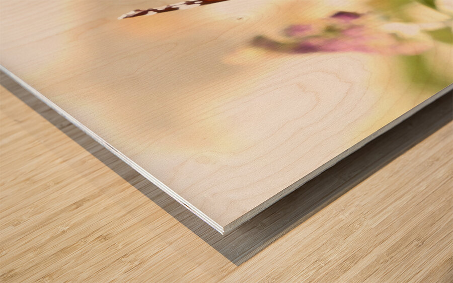 Two Butterflies on Buddleia Flowers Wood print