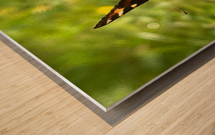 Summer Butterfly on a Butterfly Bush Wood print