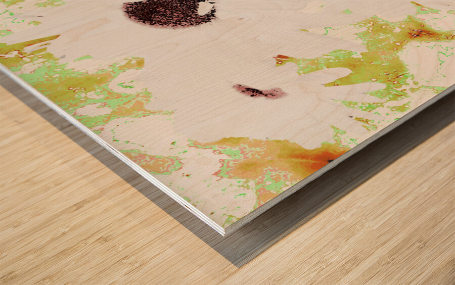  Abstract White Daises on a Green Background Wood print