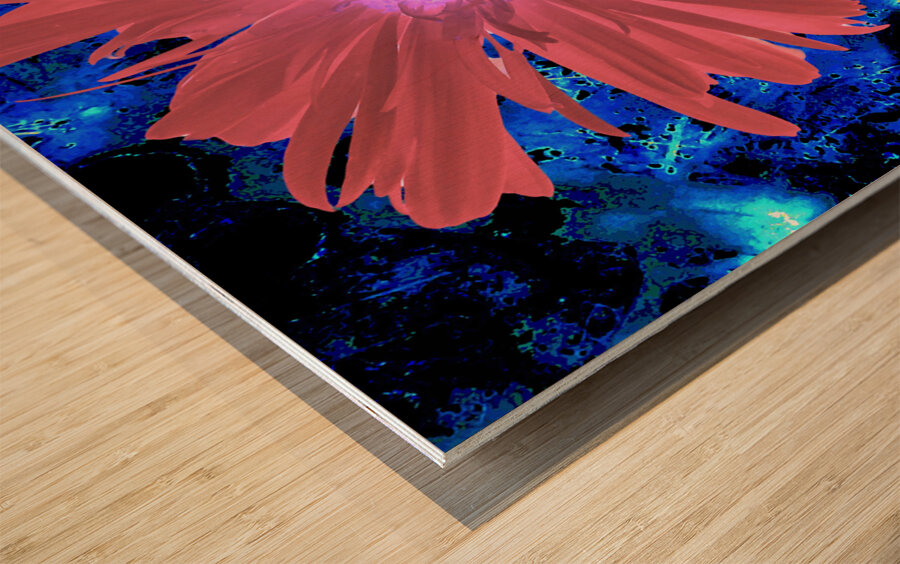 Abstract Red Daisy Wood print