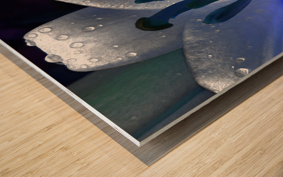 Abstract Dew Drop Lily Wood print