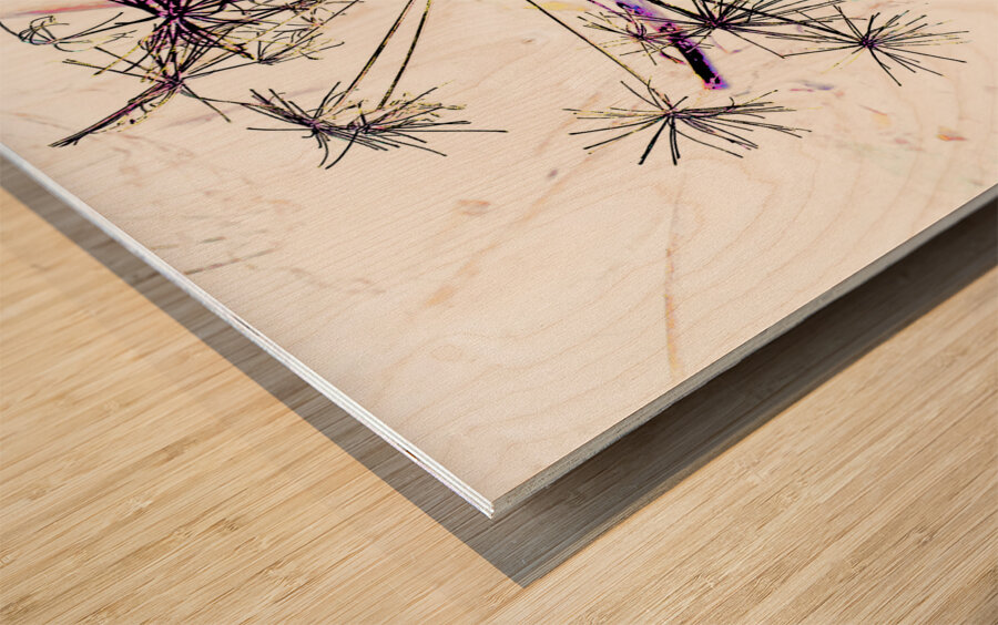 Angelica in the Morning  Wood print