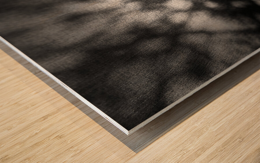 Abstract Shadows in Black and White Wood print