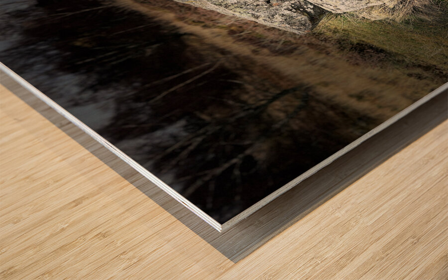 Scenes from the Trail- Boulder Seat Wood print