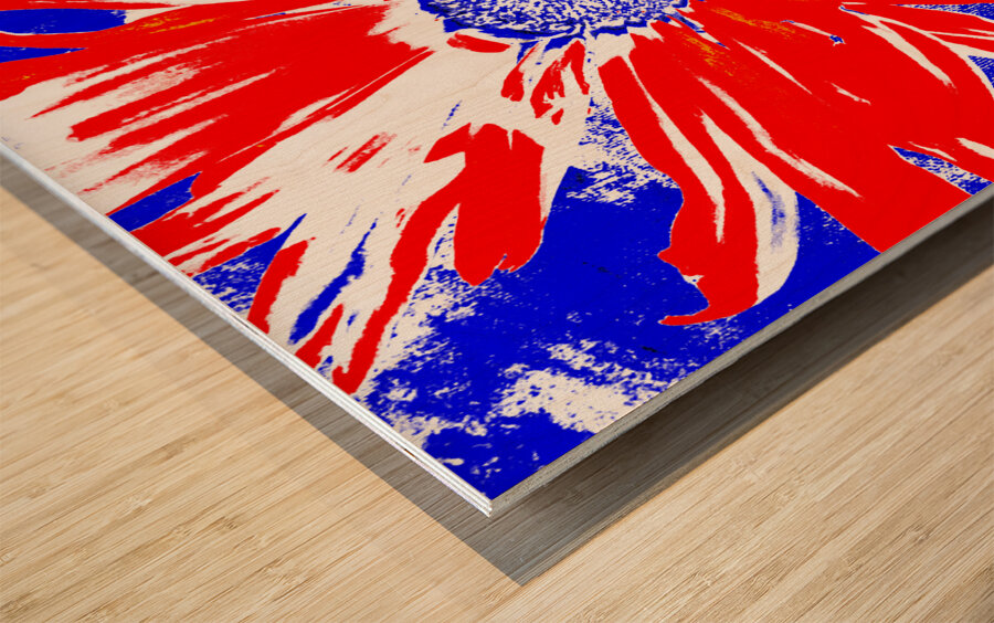Red White and Blue Daisy on a Navy Abstract Background Wood print