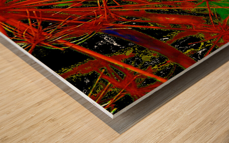 Abstract Angelica Wood print