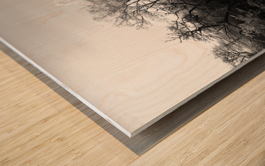 Frosty Morning in the Scottish Highlands Wood print