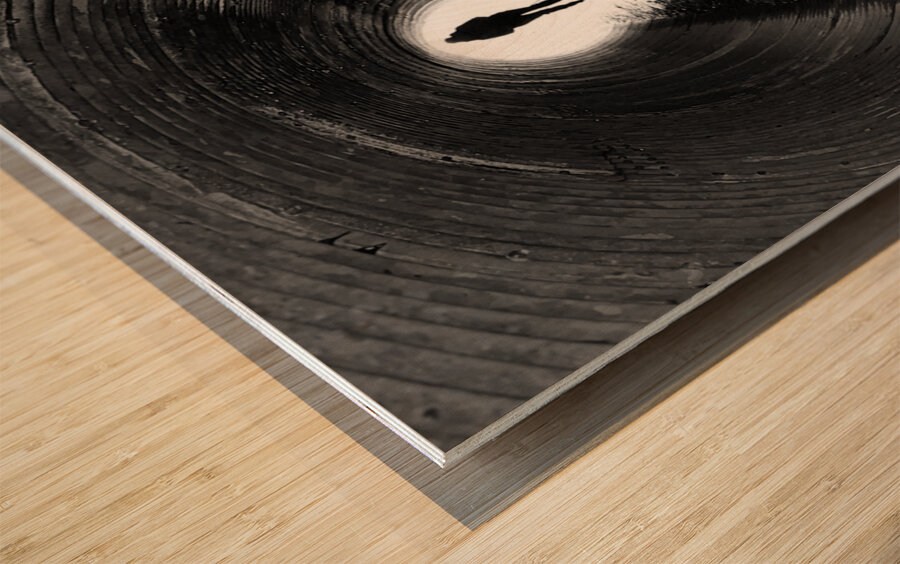  Scenes from the Trail -Through the Tunnel  Wood print